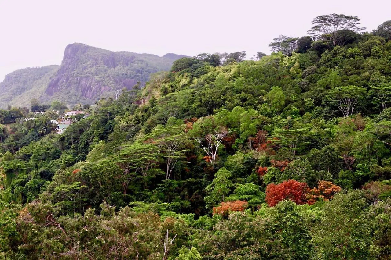 ****  Blue Hill Bed & Breakfast Victoria Seychelles
