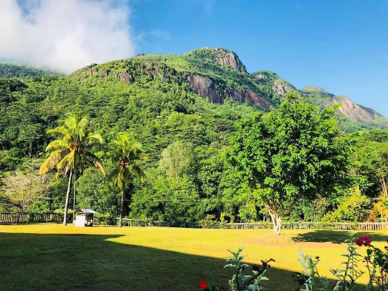 Blue Hill Bed & Breakfast Victoria 4*,  Seychelles